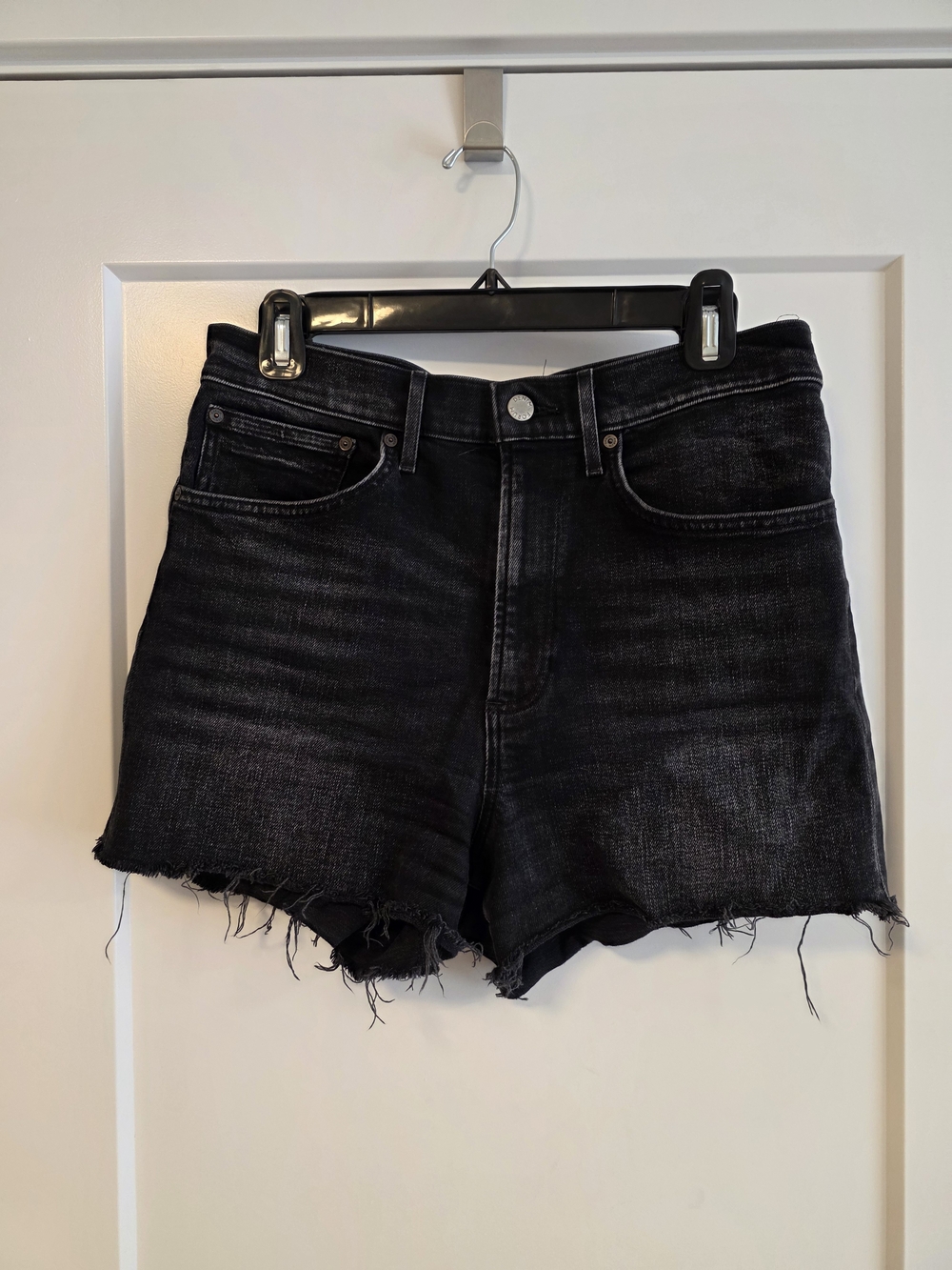 Denim Forum Arlo Shorts